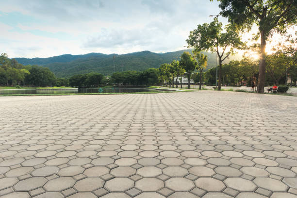 Best Local Driveway Pavers  in Ecorse, MI